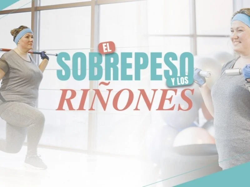 El sobrepeso y los riñones