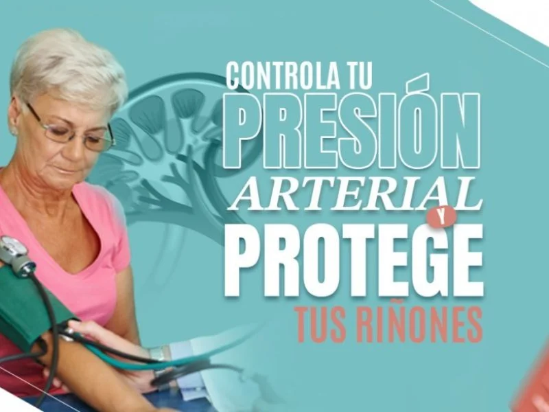 La presión arterial alta y los riñones